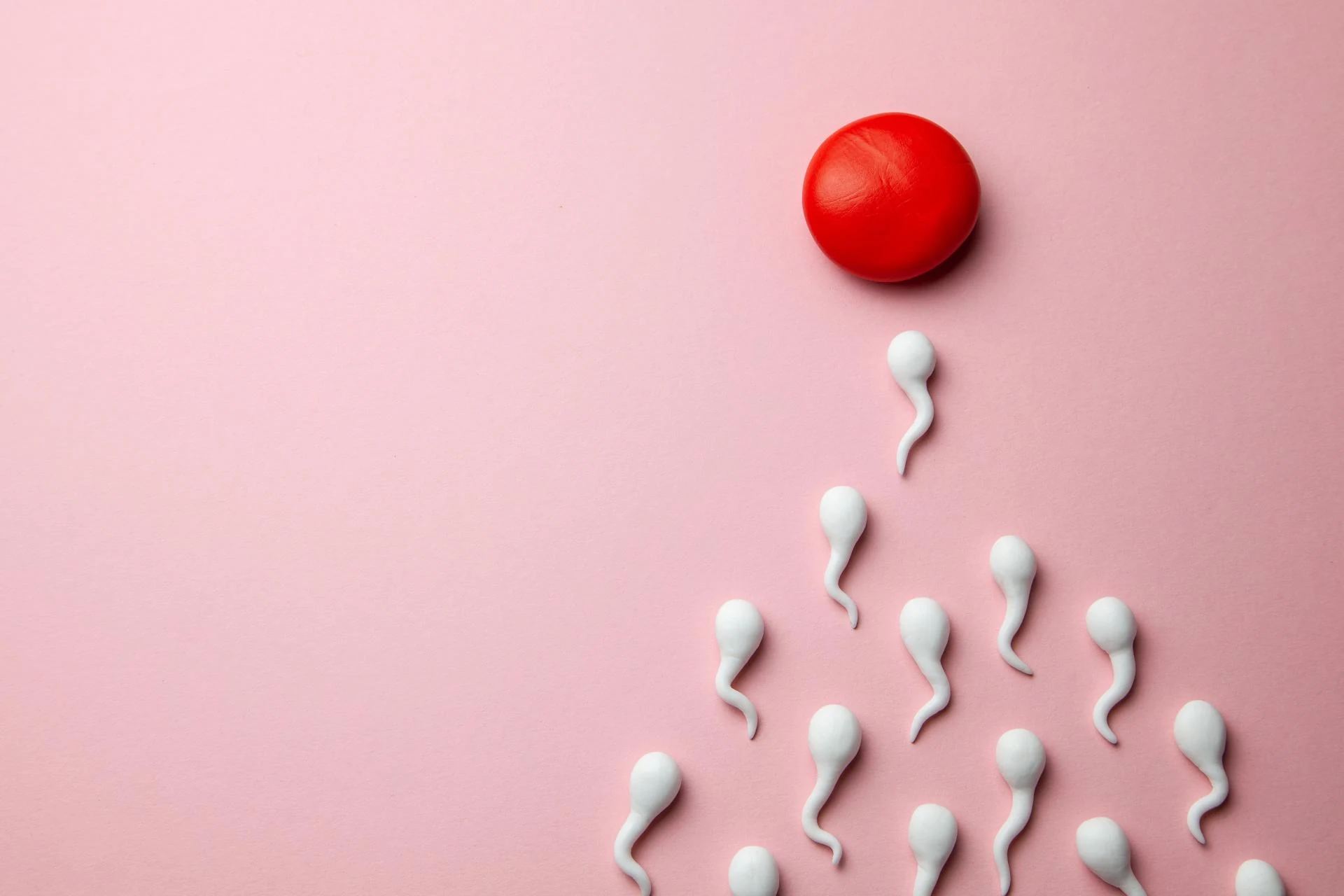 난임 판정 받았다고 절망해야 할까? — 차차여성의원 내몸이야기 이미지 3