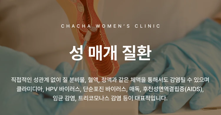 성 매개 질환