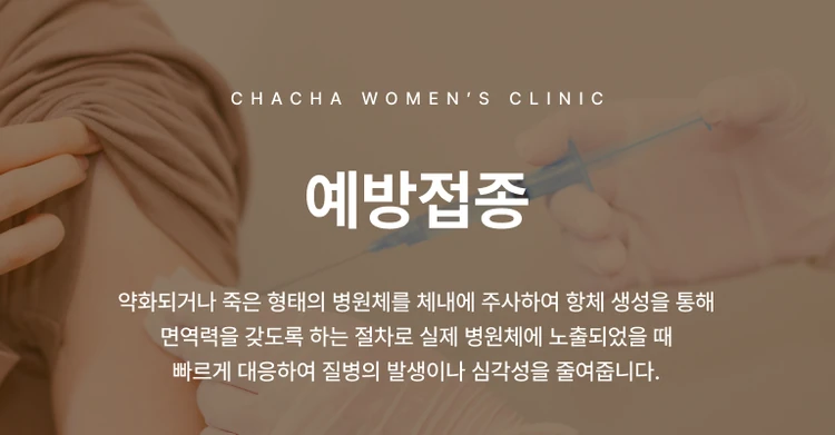기타 예방접종